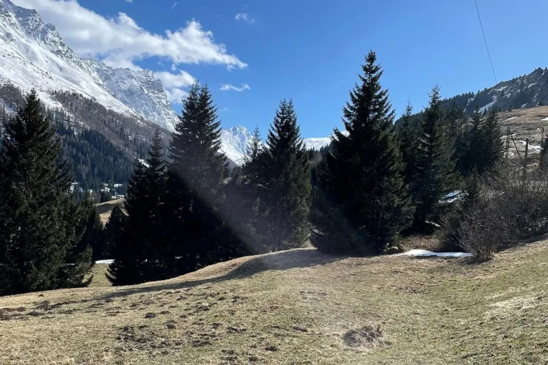Parsonz GR - 29-Jähriger verunfallt mit Gleitschirm