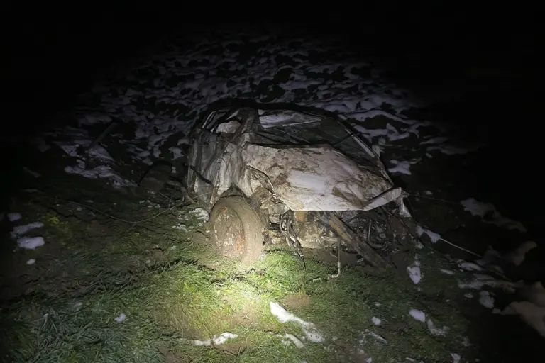 Arth SZ - Fahrzeuglenker bei Selbstkollision erheblich verletzt