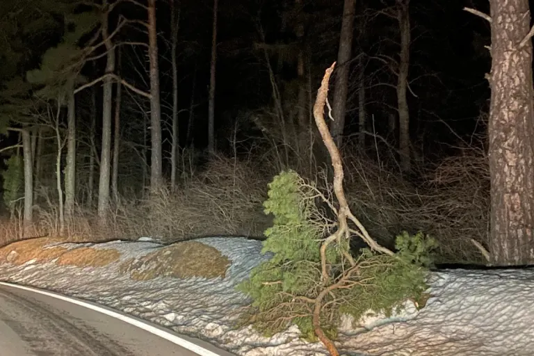 Föhnsturm geht zu Ende – Schneefall kommt!