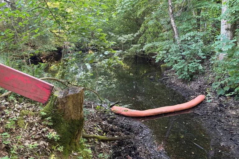 Ricken SG – Ausgelaufenes Öl von Lkw gelangt in Weiher