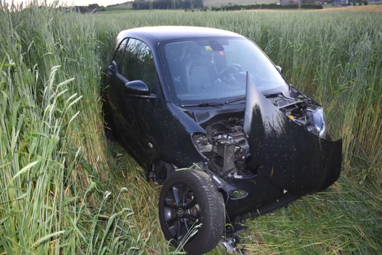 Totalschaden nach Selbstunfall in Inwil LU