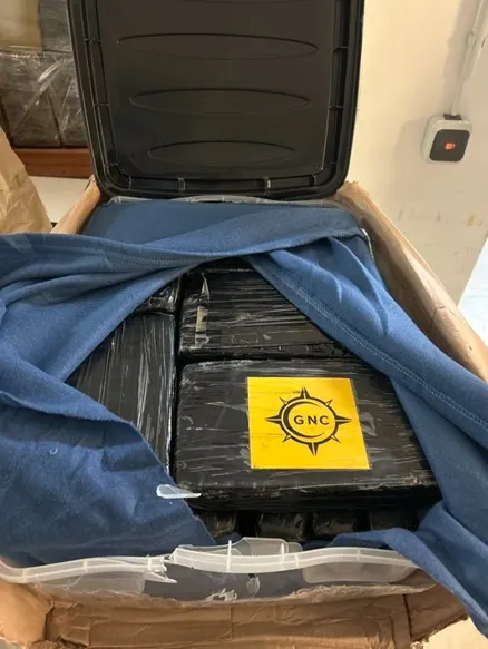 Frankfurt am Main – Festnahmen nach Schmuggel von 590 Kilo Kokain