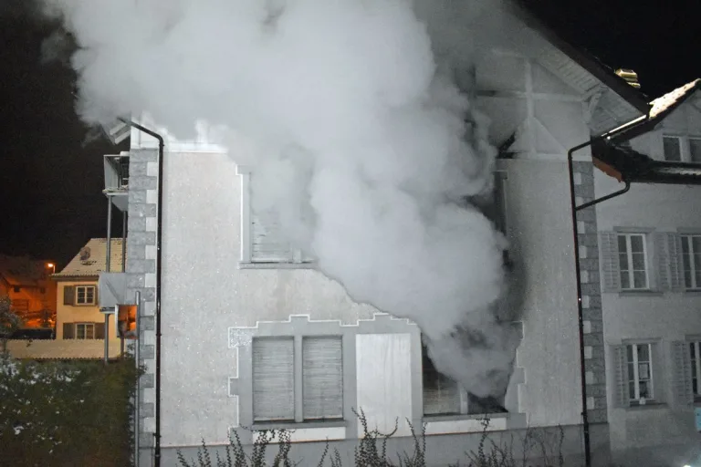 Rickenbach LU - Wohnung gerät in Brand - Ermittlungen laufen