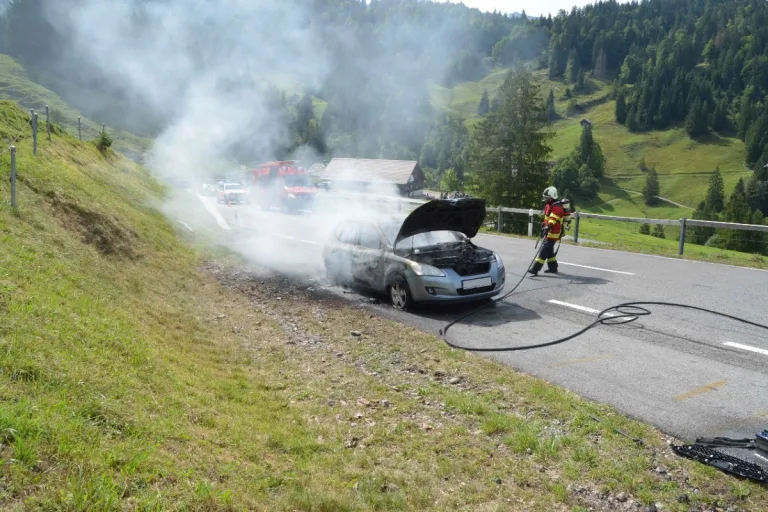 Urnäsch AR - Autobrand in Urnäsch auf der Schwägalpstrecke
