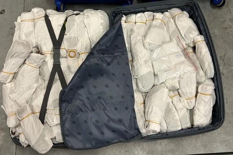 Drogenfund im Autoverlad Brig VS – Kokain und Khat sichergestellt