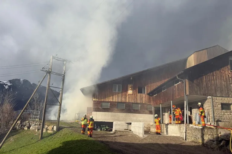 Altdorf UR – Zwei Personen bei Brand verletzt