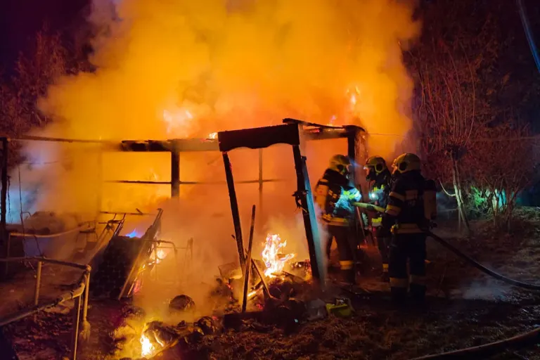 Hart bei Graz – Gartenhütte bei Brand komplett zerstört