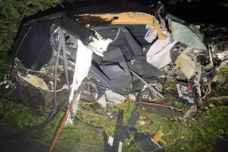 Boningen SO - Mit einem Baum kollidiert - grosser Teil vom Auto abgerissen