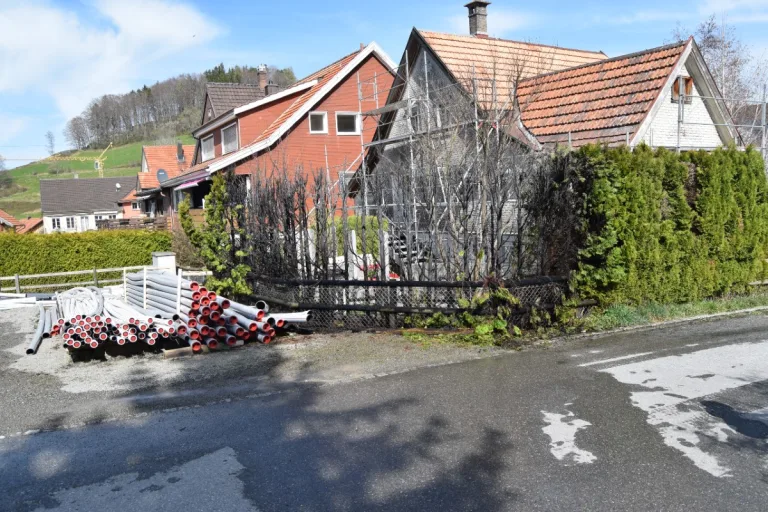 Heiden AR - Thujahecke in Brand geraten
