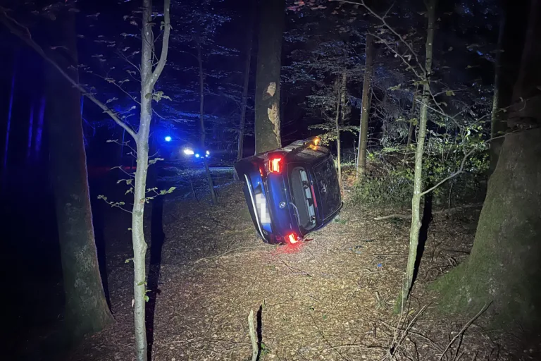 Zofingen AG - BMW-Fahrerin prallt gegen Baum - Führerausweis weg