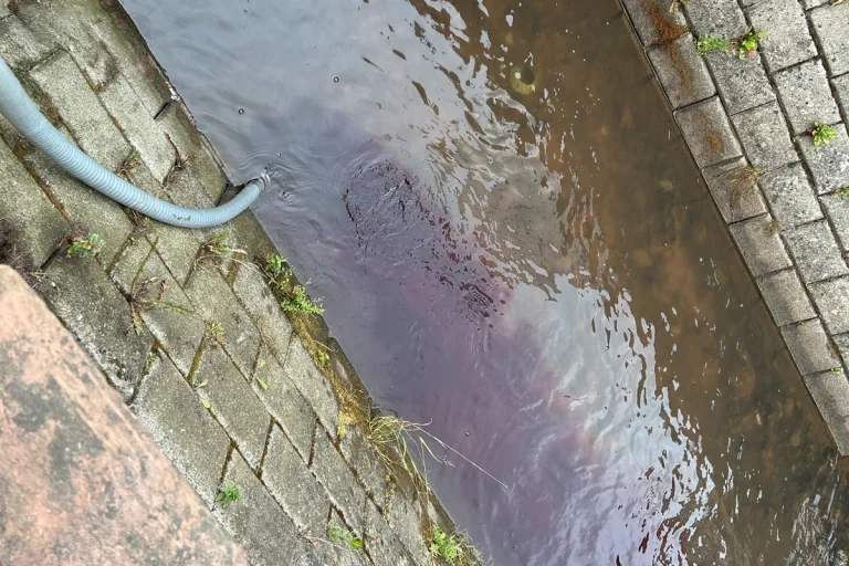 Edesheim RP – Mehrere Fische verendet durch Rotwein im Bach