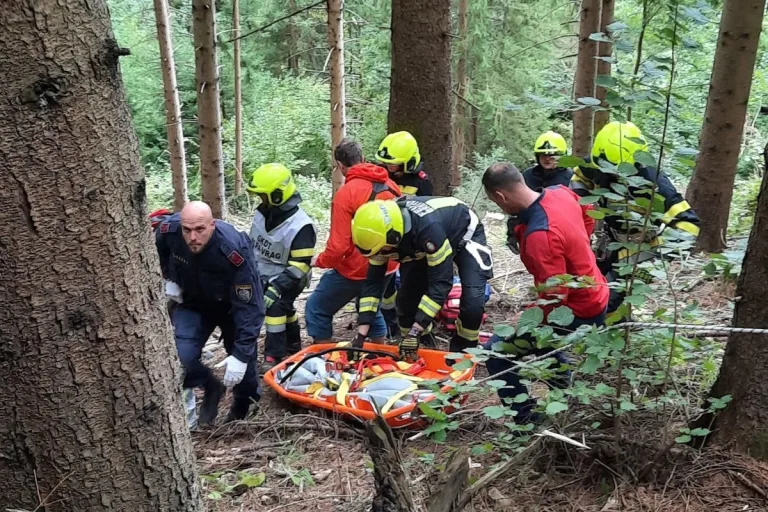 Forstunfall in Breitenau – Enkel befreit verletzten Großvater