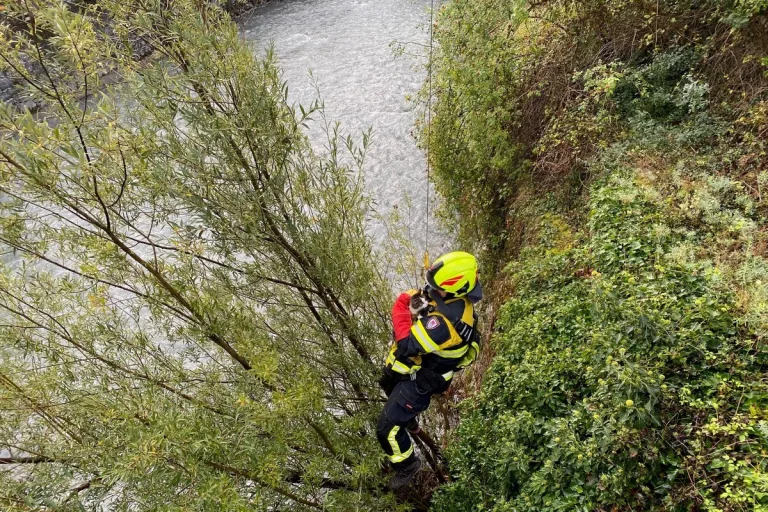 Chur GR - Katze fällt beinahe in die Plessur 
