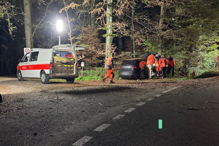 Wermatswil ZH – Mit Auto bei Unfall in Baum gekracht