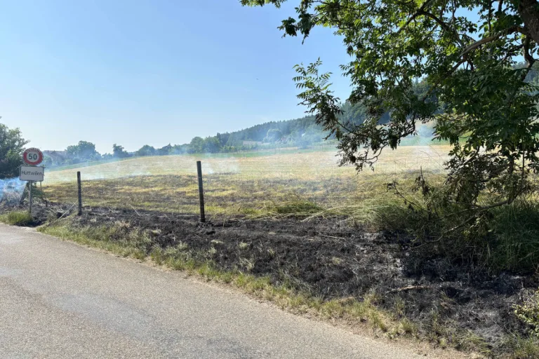 Hüttwilen TG – Ursache nach Wiesenbrand unklar