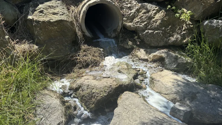 Necker SG – Milch gelangt in den Necker