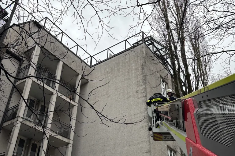 München – Feuerwehr rettet Schwan von Hausdach