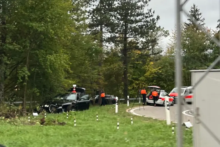 Esslingen ZH – Unfall auf A52 sorgt für Sperrung