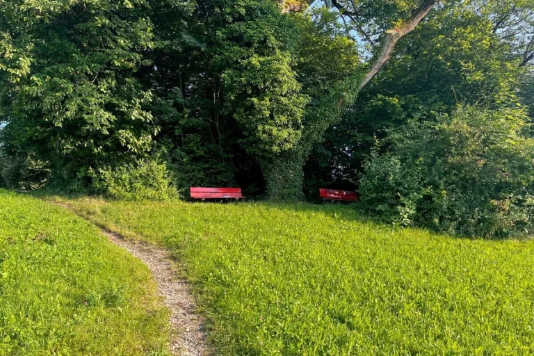 Winterthur ZH - Mann wird während Blind Date gewalttätig angegriffen 
