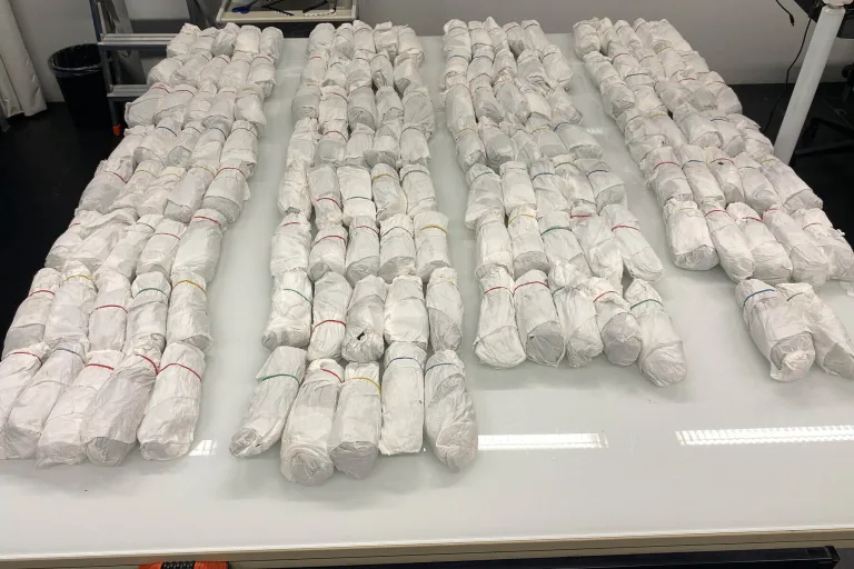 Baar ZG – 30 Kilogramm Kath gefunden