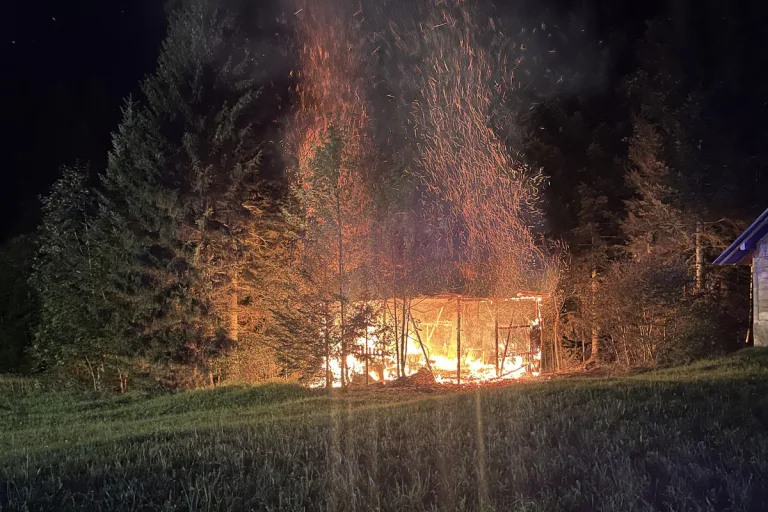 Kriens LU - Schopf bei Brand komplett zerstört
