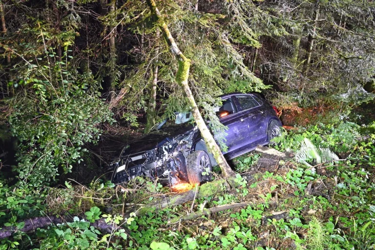 Unfall in Horw LU - Mit einem Baum kollidiert