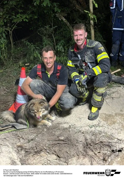 München – Feuerwehr und THW befreien Hund aus Dachsbau