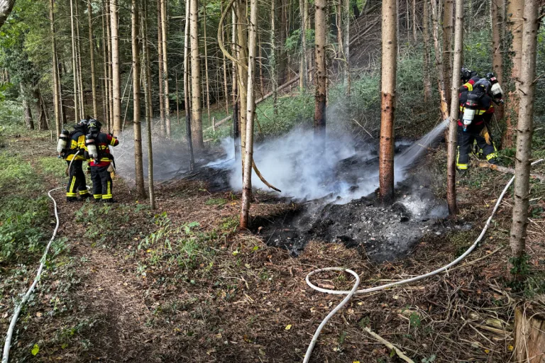 Bronschhofen SG – Falsch entsorgte Asche löst Waldbrand aus