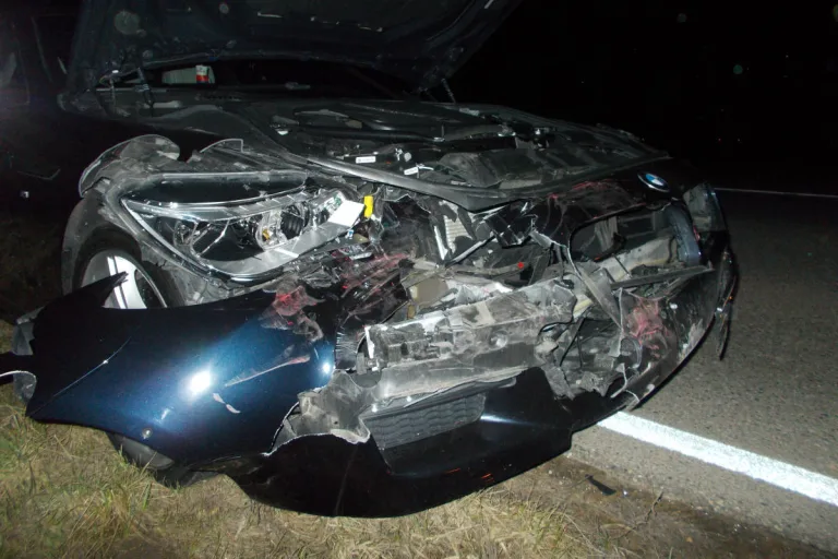 Neustadt an der Weinstraße – Betrunken Unfall gebaut