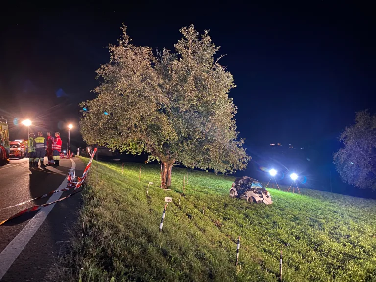 Hirzel ZH - Schwer verletzter Autolenker nach Selbstunfall