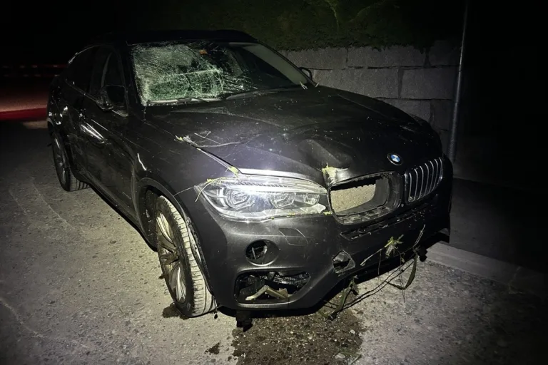 Unfall in Rudolfstetten-Friedlisberg AG – BMW-Lenker landet nach Fahrfehler im Maisfeld