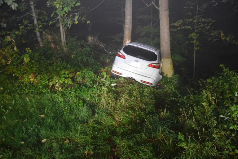 Herisau AR – In der Kurve die Kontrolle verloren – Auto geschrottet