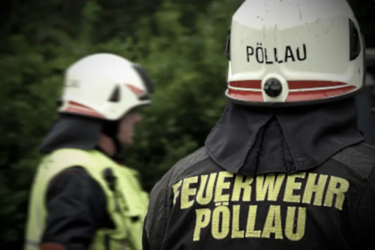 Brand in Pöllau bei Gleisdorf ST – Flammen zerstören Wirtschaftsgebäude