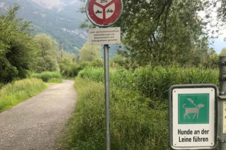 Haben Sie einen Hund? Dann müssen Sie das betreffend der Leinenpflicht wissen