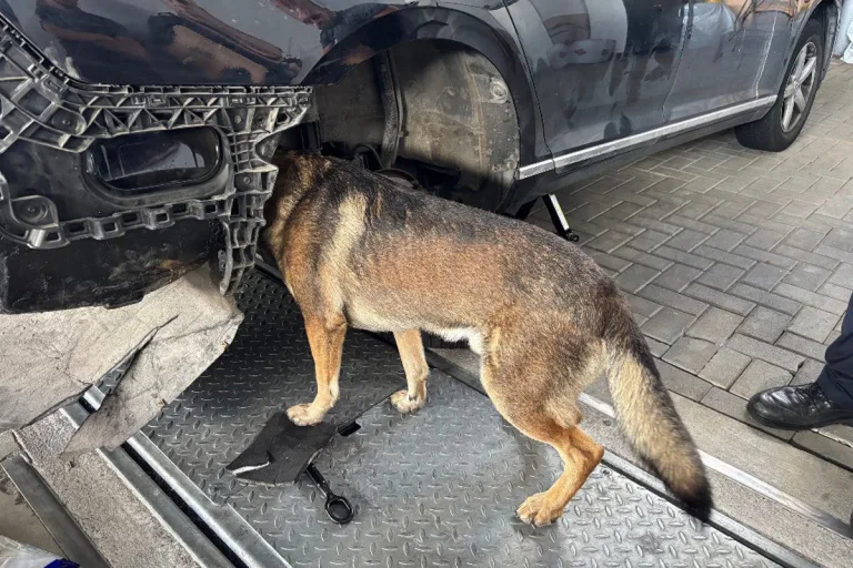 A1 Bremen HB – Zoll stellt 19 Kilo Amphetamin in Pkw sicher