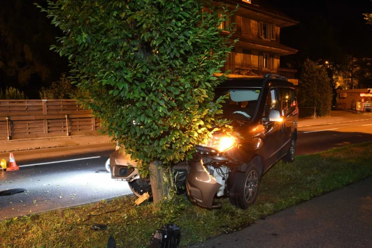 Emmen LU - Mit einem Baum kollidiert 