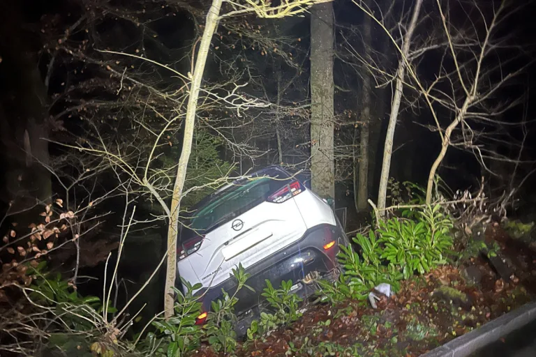 Stadt Luzern – Parkmanöver missglückt - Unfall