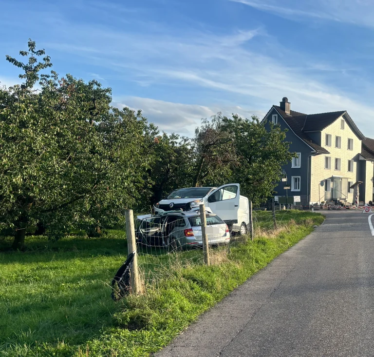 Schweizersholz TG – Sekundenschlaf führt zu Unfall