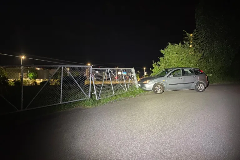 Zug - Zwei mutmassliche Einbrecher auf der Flucht festgenommen - Auto verunfallt
