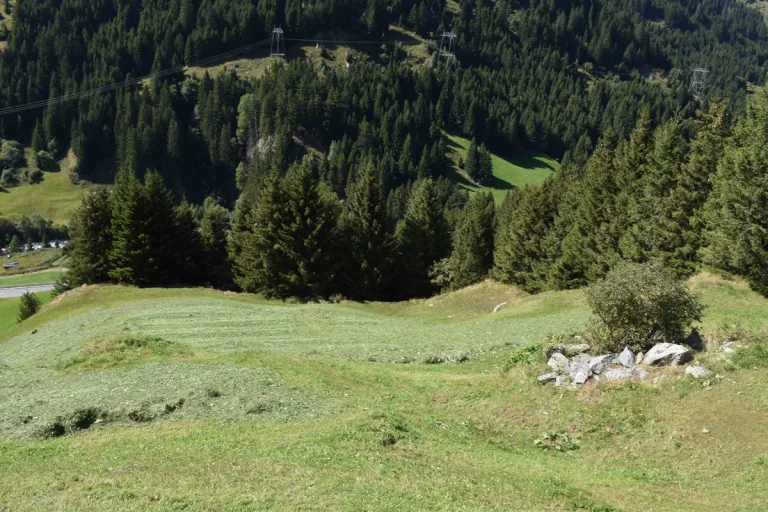 Fuorns GR – Mann bei Unfall mit landwirtschaftlichen Fahrzeug verletzt