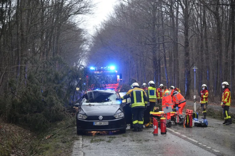 Kreis Pinneberg - Schon mehr als 200 Einsätze wegen Sturmtief "Ylenia"