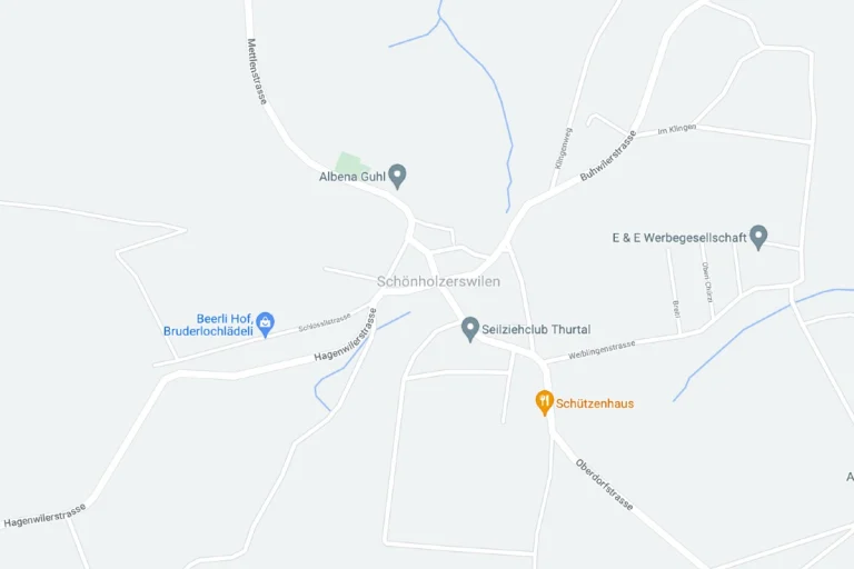 Schönholzerswilen TG - Nach Ausweichmanöver verunfallt - Frau und dreijähriges Kind zur Kontrolle ins Spital gebracht