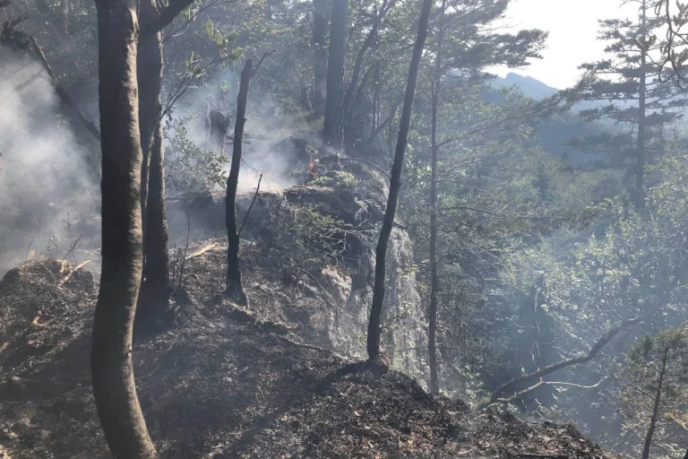 Balsthal SO – Waldbrand auf dem Roggen