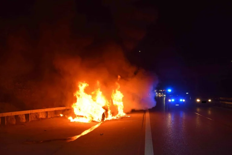 Subingen SO - Insassen und Hund können sich bei Autobrand auf der A1 in Sicherheit bringen