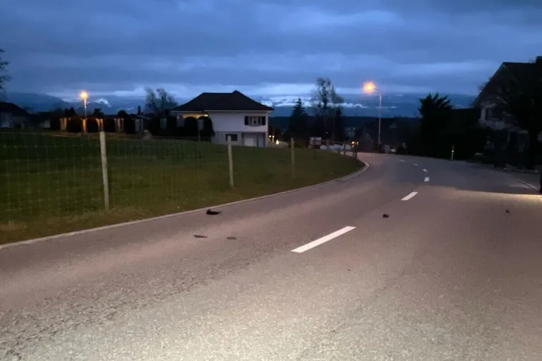 Bolken SO – Nach Kollision vom Unfallort entfernt