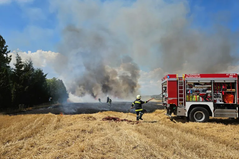 Waidhofen an der Thaya – 23 Feuerwehren bekämpfen Großbrände