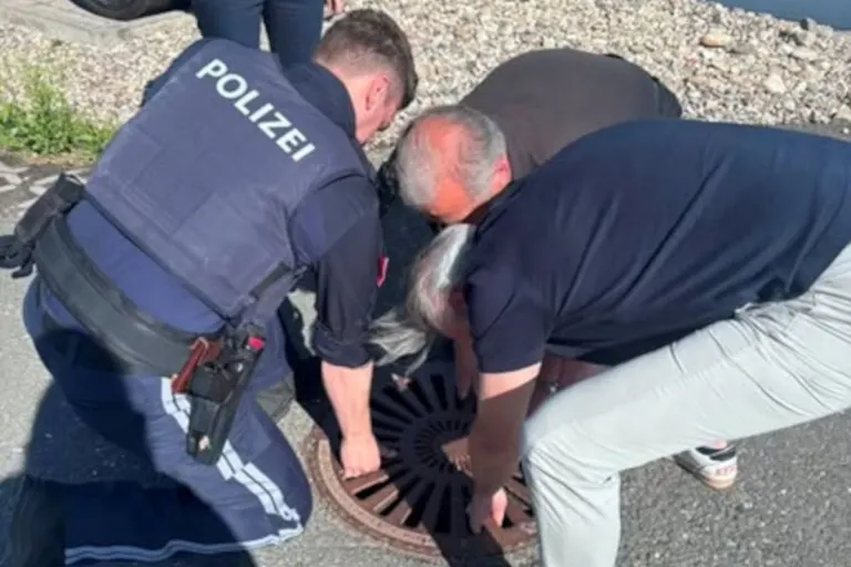Steiermark – Polizisten retten vier Entenküken aus Kanalschacht