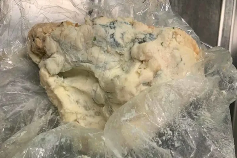 Appenzell Ausserrhoden - Missstände in Restaurant fordert sofortige Schliessung 