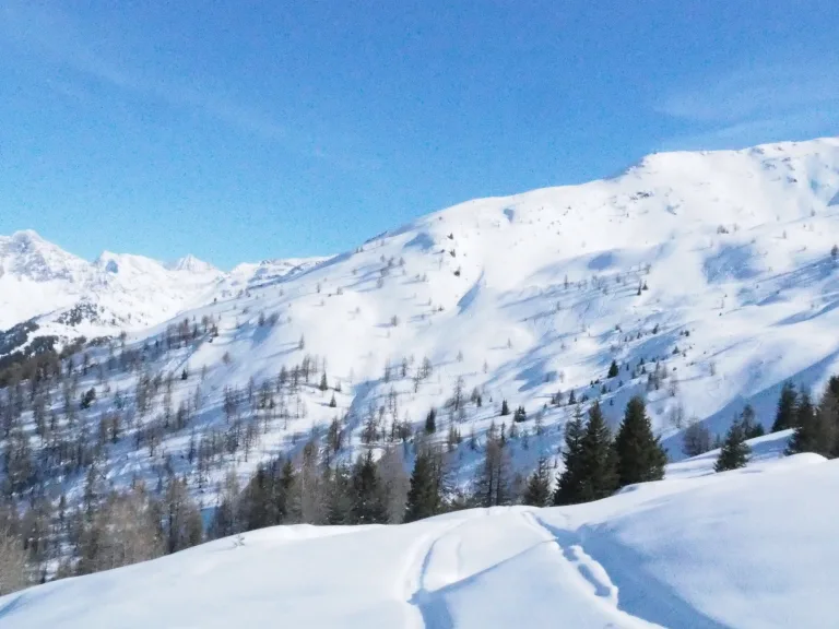 Val de Bagnes VS: Lawine im Skigebiet von Bruson fordert zwei Todesopfer - Schwedische Skifahrer identifiziert