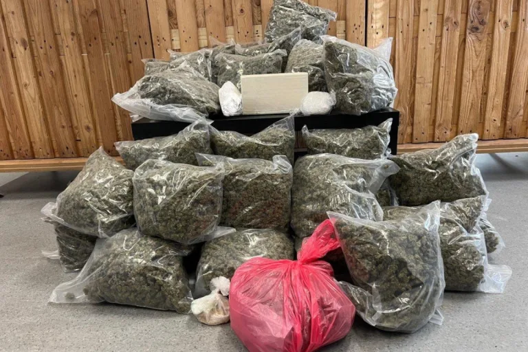 Wien – Kokain, Marihuana und Crystal Meth sichergestellt